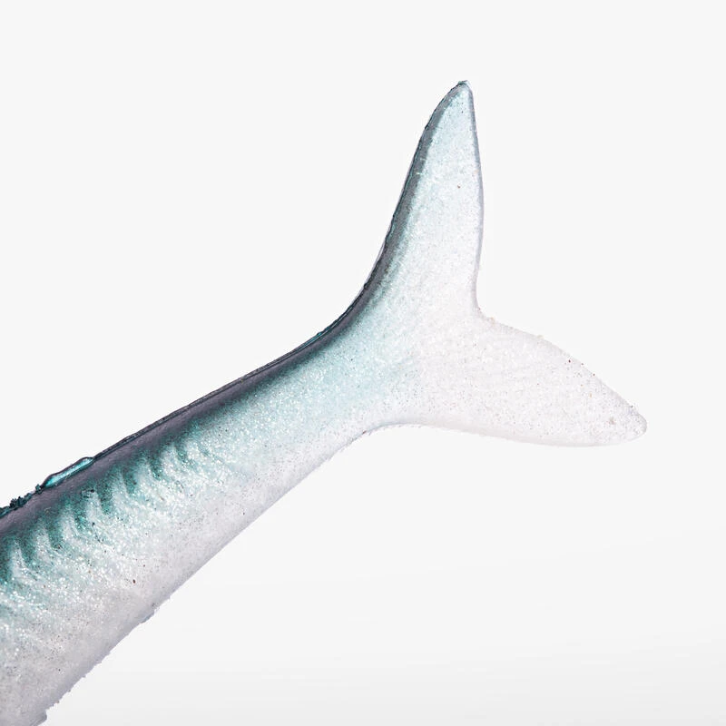 COMBO Leurres Souples Slug SLUGEELO 160 Ayu/Bleu 5 COMBO Leurres Souples Slug SLUGEELO 160 Ayu/Bleu – Image 5